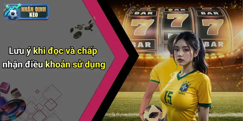 Lưu ý khi đọc và chấp nhận điều khoản sử dụng