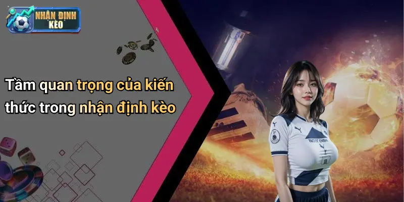 Tầm quan trọng của kiến thức trong nhận định kèo