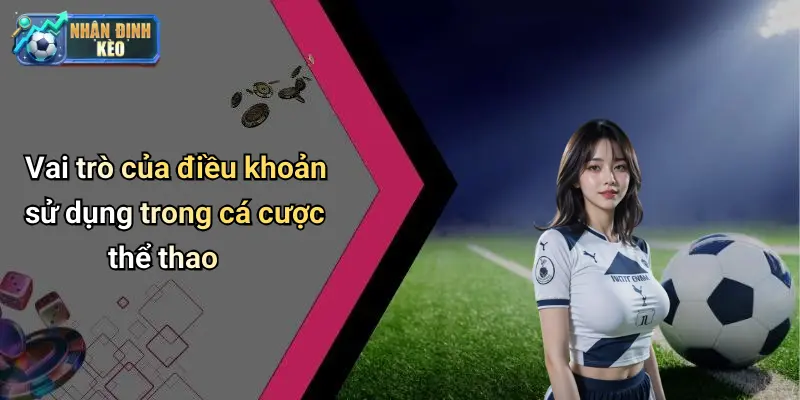 Vai trò của điều khoản sử dụng trong cá cược thể thao