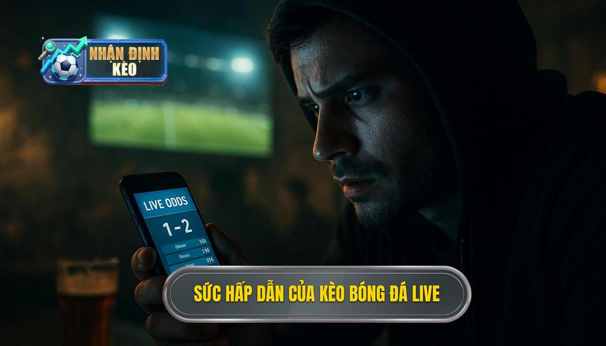 Bản chất và sức hấp dẫn khác biệt của kèo live bóng đá