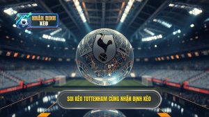 Soi kèo Tottenham hôm nay: Nhận định chính xác từ chuyên gia