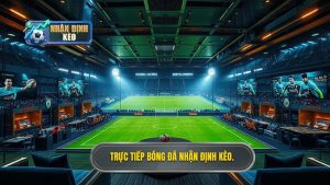 Trực tiếp bóng đá hôm nay