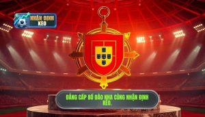 Đội tuyển Bồ Đào Nha mạnh thế nào