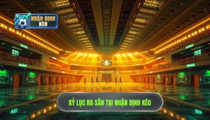 Cầu thủ ra sân nhiều nhất