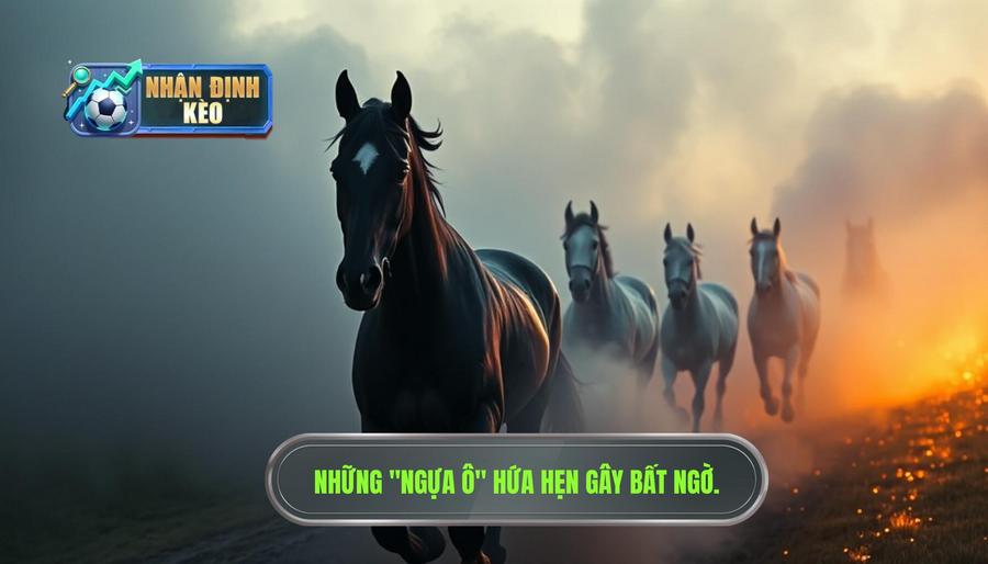3. Những "ngựa ô" có thể gây bất ngờ 3. Những "ngựa ô" có thể gây bất ngờ